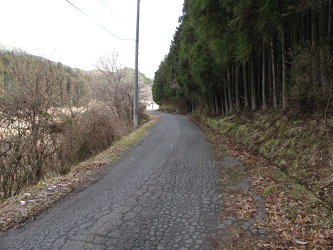 20140105hike (254)